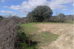 Plot for sale in Cenicientos, Madrid. 